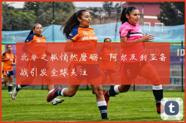 北非之狐悄然磨砺，阿尔及利亚备战引发全球关注