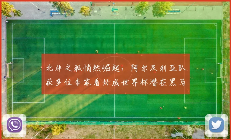 北非之狐悄然崛起，阿尔及利亚队获多位专家看好成世界杯潜在黑马
