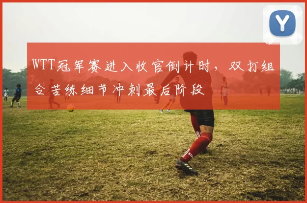 WTT冠军赛进入收官倒计时，双打组合苦练细节冲刺最后阶段