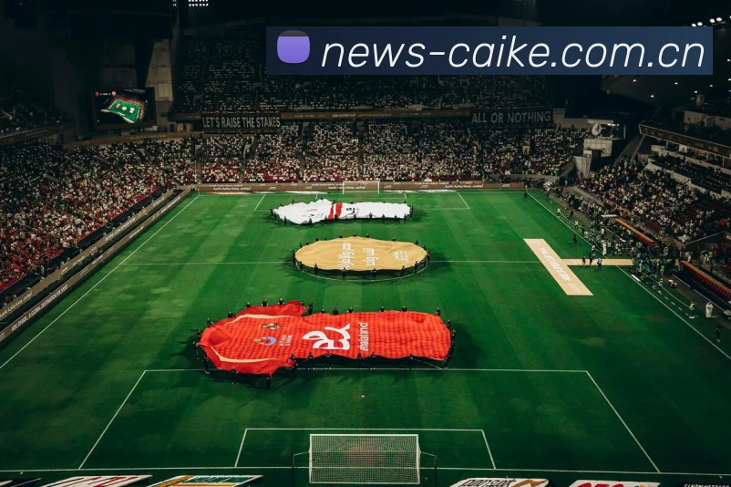 彩客网平台生态图